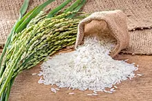 Правительство ограничило экспорт риса и кормовых аминокислот