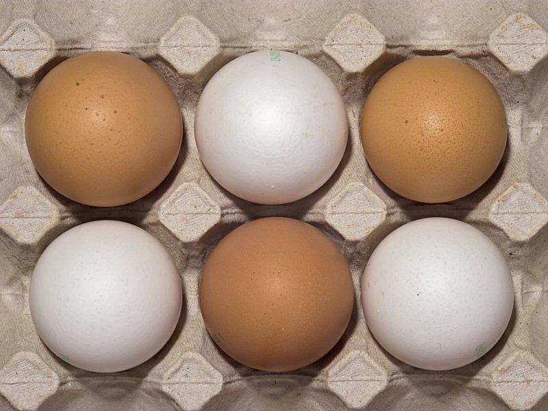 Куриные яйца помогают младенцам развивать мозг