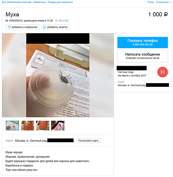 Если вам удалось приручить муху, то есть повод попытаться ее продать.