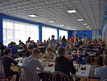 В Самарской области соревнуются 500 лучших шахматистов ПФО