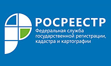 В России запущен онлайн-сервис выдачи сведений из ЕГРН