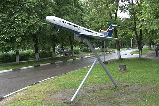 Копию самолета ТУ‑154 сделали в микрорайоне Лобни из поваленных ураганом деревьев
