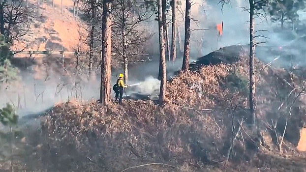 В штате Северная Дакота объявлен режим ЧС из-за лесных пожаров: вокруг все заволокло дымом