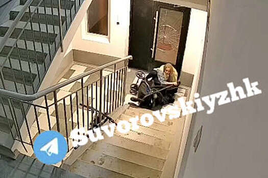 В Ростове проверяют женщину, которая переворачивала коляску с ребенком