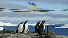 Зачем Киев заявил о планах освоения Антарктики