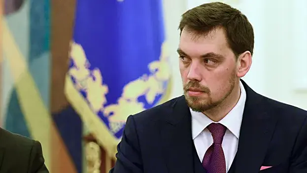 Премьера Украины назвали «сознательным идиотом»