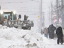 Рекордный за последние 56 лет снегопад прошел в Москве
