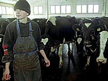 Куда нельзя пойти на альтернативную службу