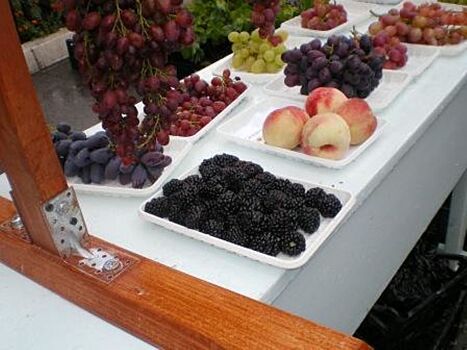 Южноуральск приглашает на яркий, вкусный праздник винограда