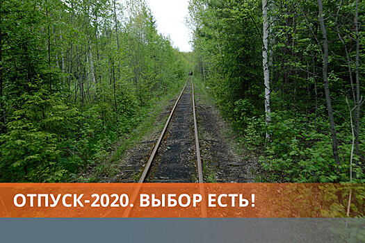 Урал предложил экстремальное путешествие за земляникой и клюквой