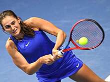 Гашек раскритиковал правительство Чехии из-за допуска теннисистки Гасановой