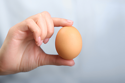 Почему нельзя раздавить в кулаке сырое яйцо