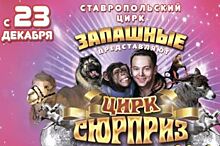 В Ставрополе стартует цирковая программа от Марицы и Дана Запашных
