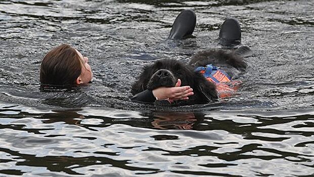 Сачком и петлей: как животных в Москве спасают из воды