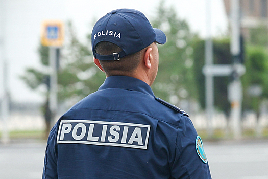 В соседней с Россией стране в ходе операции "Конопля-2025" изъяли тонны наркотиков