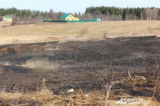 В Красноярском крае удалось отстоять от пожаров 150 населенных пунктов