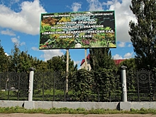 В минприроды рассказали, зачем делят дендропарк в центре Омска