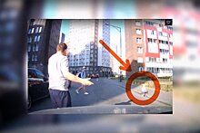 В Ленинградской области на дорогу выполз маленький ребенок. Инцидент попал на видео
