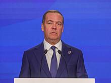 Европейский политик обратился к Медведеву с просьбой по Украине