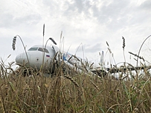 Посадившим лайнер в поле под Новосибирском пилотам предложили уволиться
