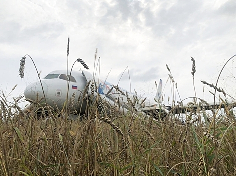 Посадившим лайнер в поле под Новосибирском пилотам предложили уволиться