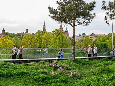 Четыре необычные локации для прогулок в Москве и Подмосковье