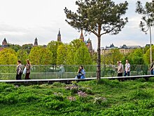 Четыре необычные локации для прогулок в Москве и Подмосковье