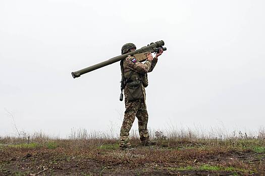 В Германии признали уникальность российской «Вербы»