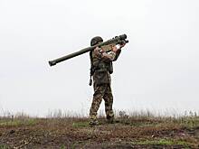 В Германии признали уникальность российской «Вербы»