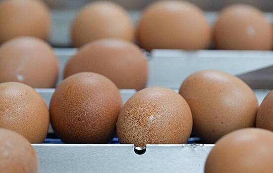 Экономист предсказал сроки падения цен на яйца в России