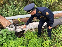 Названо число ликвидированных в Подмосковье ям на дорогах