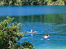 Чем опасно купание в прудах и озерах?