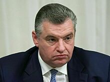 Депутат Слуцкий: России не нужны криминальные элементы других стран