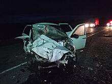 Один человек погиб в ДТП в Малопургинском районе у деревни Бобья Уча