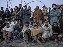 «Люди тут в ужасном состоянии» Как тысячи афганских беженцев оказались в пустыне и выживают под открытым небом?