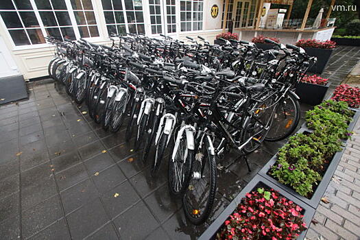 Пользуетесь ли вы велосипедами системы городского проката?