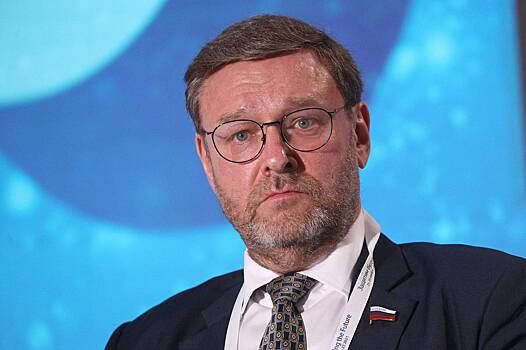 В Совфеде назвали провокацией осквернение российского флага грузинским певцом