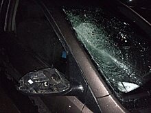 Под Саратовом женщина-водитель сбила в темноте пешехода