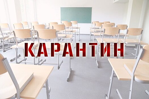 В Саратовской области на карантине по ОРВИ находятся 11 школ