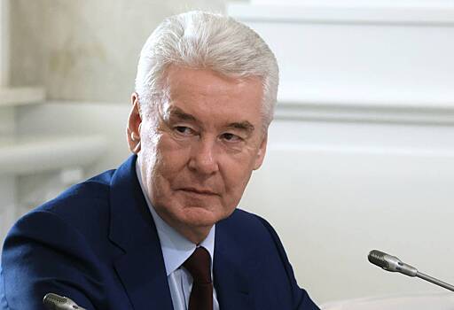 Собянин встретился со сторонниками в предвыборном штабе