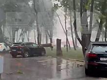 Падение дерева на машины во время урагана в Москве попало на видео