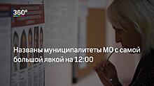 Наиболее активную явку избирателей спрогнозировали в Московской области