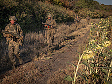 ТАСС: ВСУ перебросили к Гуляйполю сформированные из осужденных заградотряды