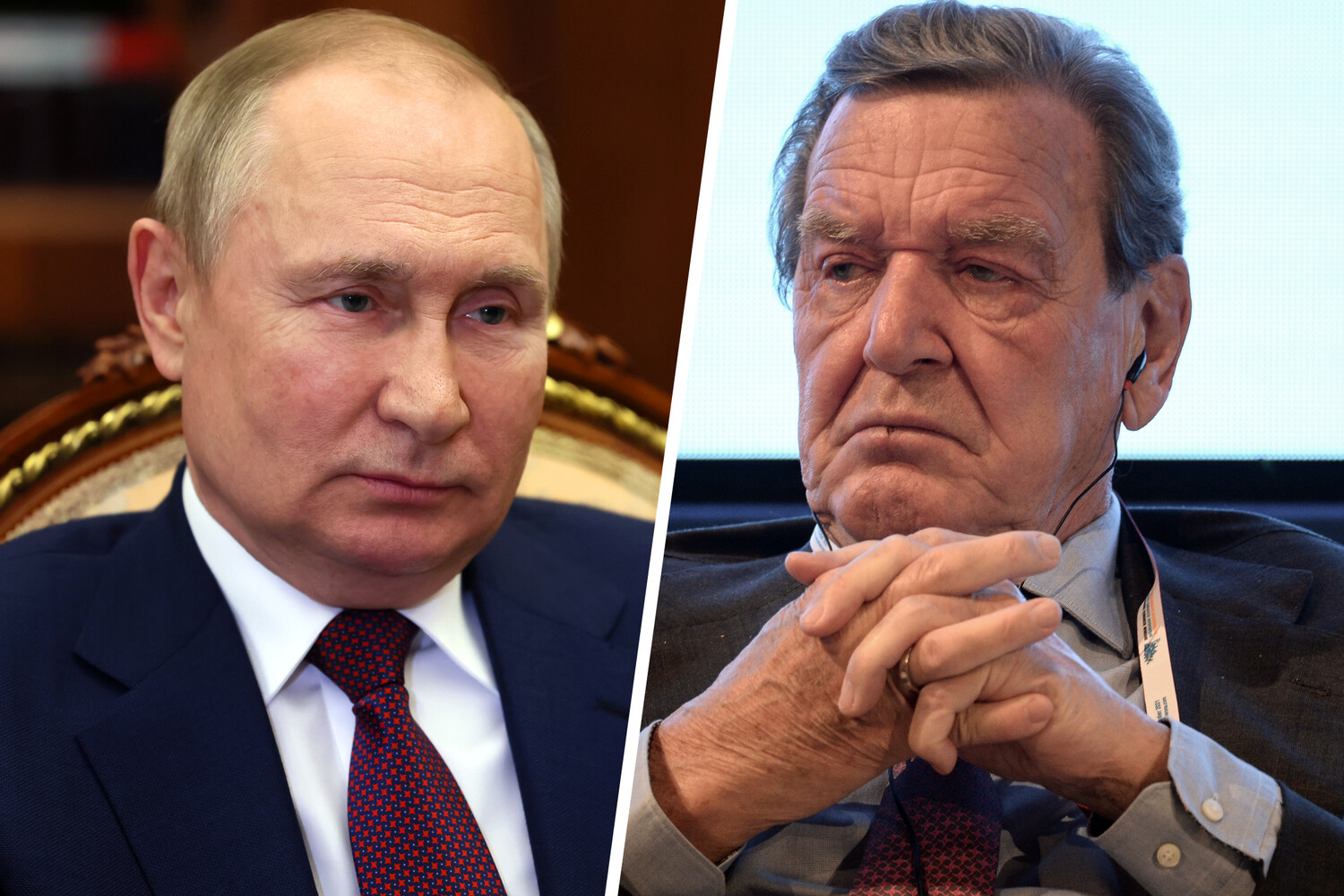 Однопартиец экс-канцлера ФРГ Шредера стыдится его из-за дружбы с Путиным