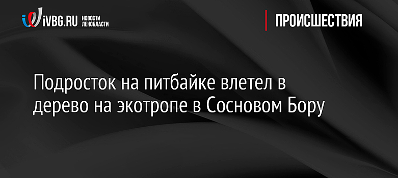 Подросток на питбайке влетел в дерево на экотропе в Сосновом Бору