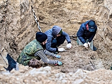 В Волгоградской области подняли останки 85 бойцов