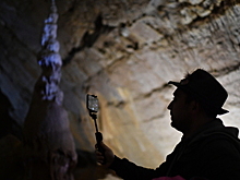 В Крыму нашли неизвестный вид микроорганизмов