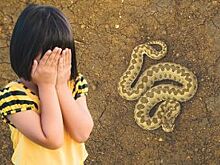 Восьмилетнего ребенка в Пронском районе укусила змея