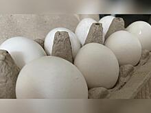 В «Руспродсоюзе» объяснили, почему импортные яйца не попали в торговые сети нашей страны