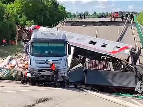 Число пострадавших при обрушении моста на поезд под Брянском выросло до 71
